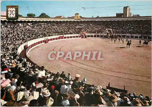 Cartes postales moderne Linares Arene Corrida Chevaux