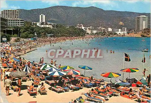 Cartes postales moderne Mallorca Palma Nova Plage vue generale