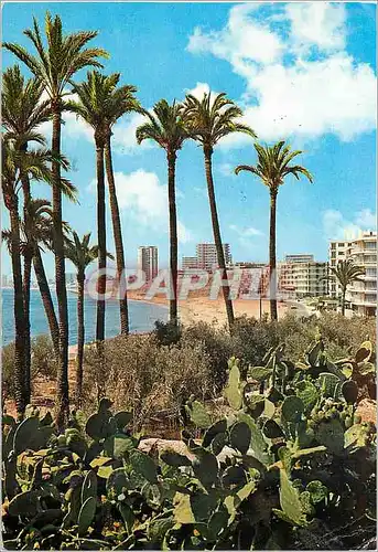 Cartes postales moderne San Juan Alicante Vue partielle de la plage