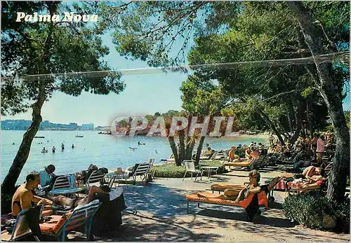 Cartes postales moderne Mallorca Baleares Espana Palma Nova Detaile