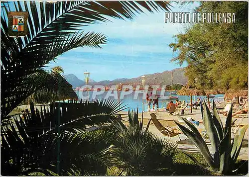 Cartes postales moderne Mallorca Puerto de Pollensa Vue partielle