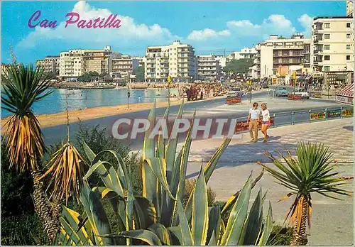 Cartes postales moderne C an Patilla Mallorca