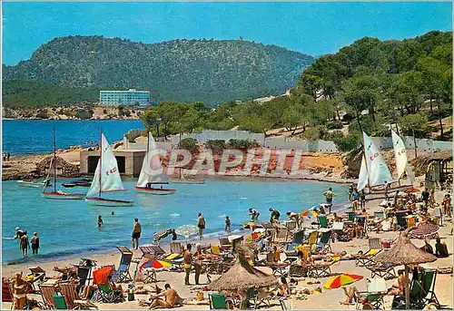 Cartes postales moderne Mallorca Baleares Espagna Paguera Playa de Tora