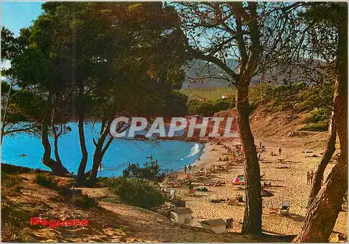 Cartes postales moderne Playas de Paguera Mallorca