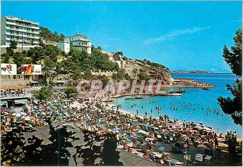 Cartes postales moderne Illetas Mallorca Vue partielle