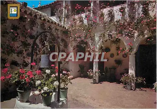 Cartes postales moderne Costa del Sol Typique patio andalou