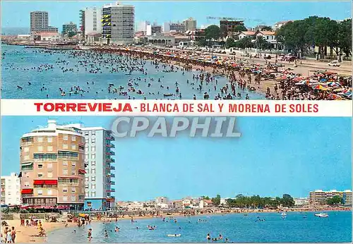 Cartes postales moderne Torrevieja Alicante Diversos aspectos