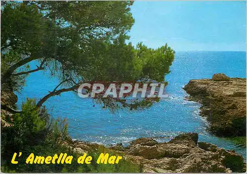 Cartes postales moderne Costa Dorada Tarragona L Ametlla de Mar