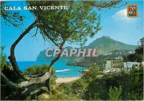 Cartes postales moderne Mallorca Cala San vincente vue partielle