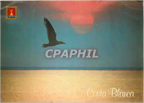 Cartes postales moderne costa Blanca Oiseau