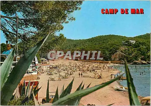 Cartes postales moderne Paguera (Mallorca)