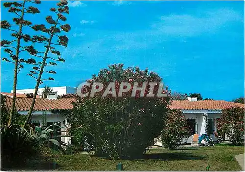 Cartes postales moderne Club Mediterranee Puerto de santa Maria (Cadiz)