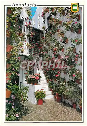 Cartes postales moderne Andalucia Cour andalou