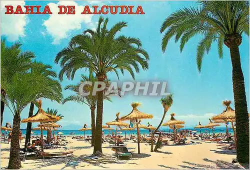 Cartes postales moderne Bahia de Alcudia Mallorca