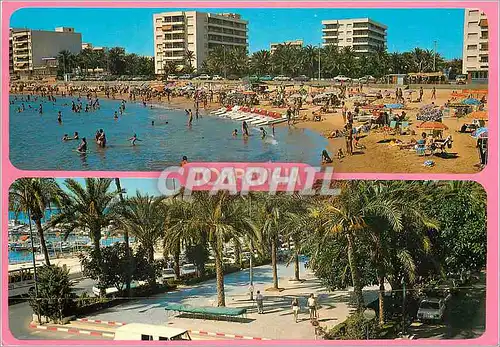 Cartes postales moderne Torrevieja (Alicante) Playa los locos y poseo Vista Alegre