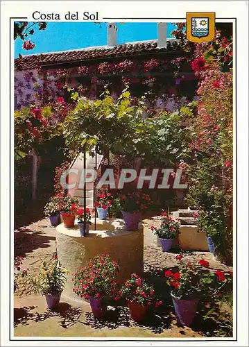 Cartes postales moderne Costa del Sol Typique Patio andalou