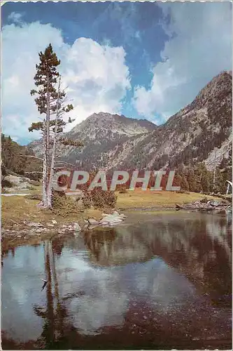 Cartes postales moderne Pirineos de Lerida Vallee de Bohi Parc Nationa Aigues Tortes