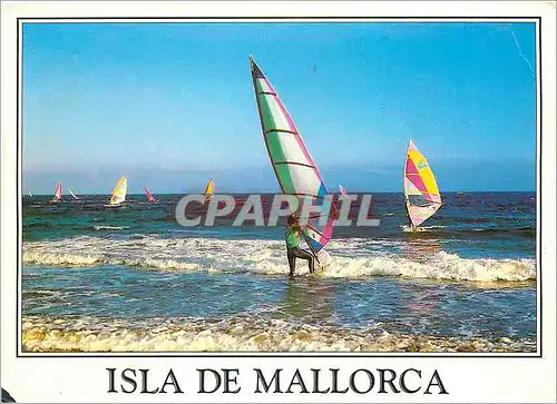 Cartes postales moderne Isla de Mallorca Planche a voile