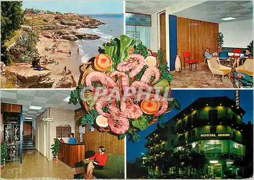 Cartes postales moderne San Carlos de la Papita Hostal miami