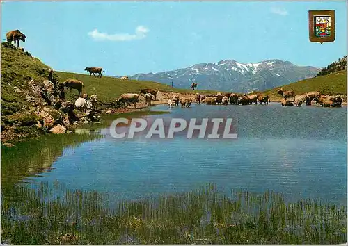 Cartes postales moderne Pirineu catala (Lleida) vall d'Aran port de la bonalgue