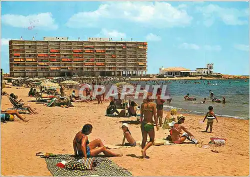 Cartes postales moderne Torrevieaja (Alicante) plage de fous