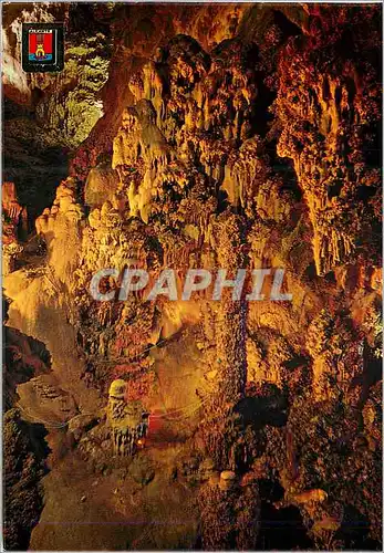 Moderne Karte Alicante busot cuevas de canalobre