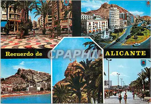 Moderne Karte Alicante busot