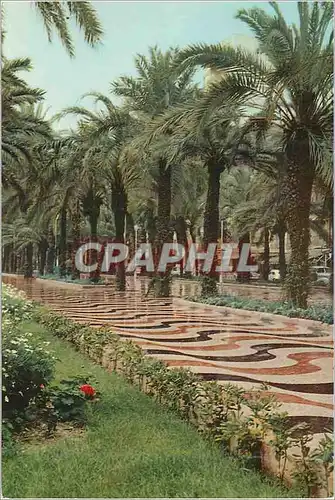 Moderne Karte Alicante busot paseo de la esplanade de espana