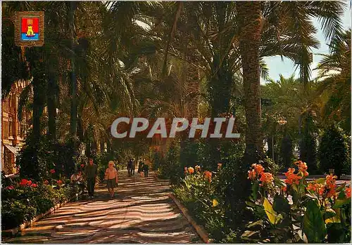 Moderne Karte Alicante busot esplanade d'espagne et jardins