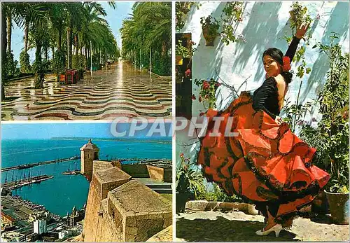 Cartes postales moderne Alicante