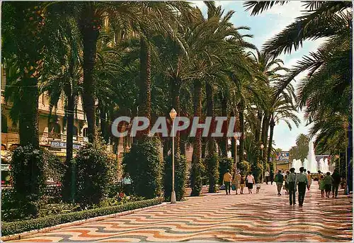 Cartes postales moderne Alicante  explanada de espana