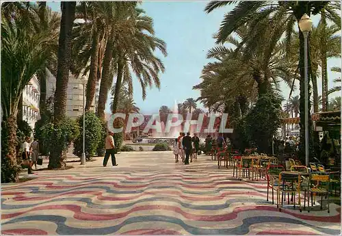 Cartes postales moderne Alicante  esplanade d'espagne