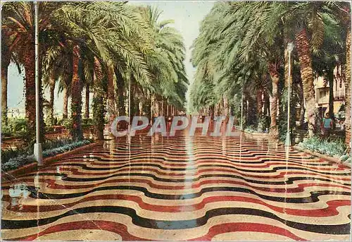 Cartes postales moderne Alicante  esplanade d'espagne