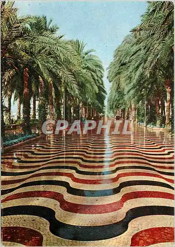 Cartes postales moderne Alicante  esplanade d'espagne