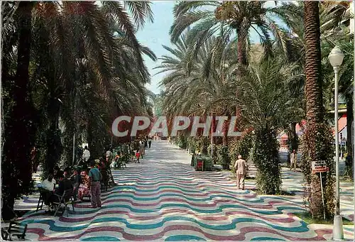 Cartes postales moderne Alicante  esplanade d'espagne