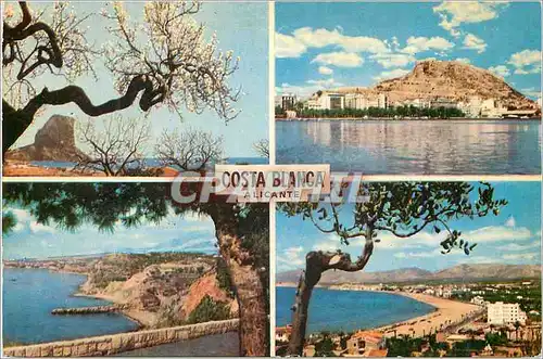 Cartes postales moderne Alicante  la cote blanche