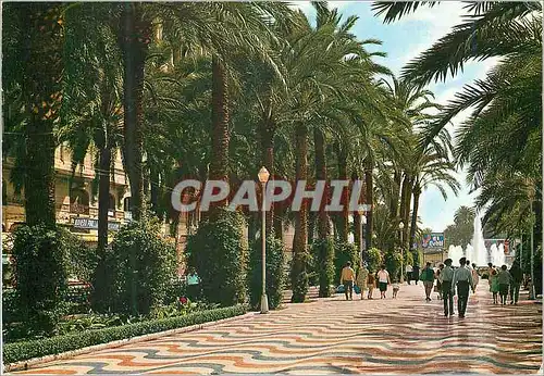 Cartes postales moderne Alicante  esplanade d'espagne