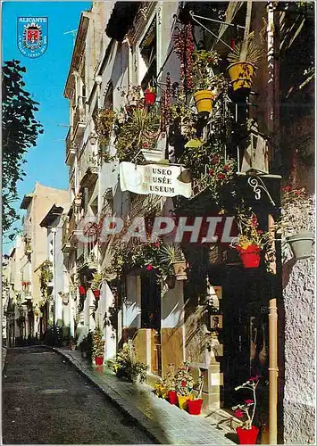 Cartes postales moderne Alicante  quartier typique rue toledo