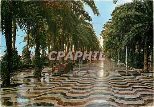 Cartes postales moderne Alicante  l'esplanade d'espagne