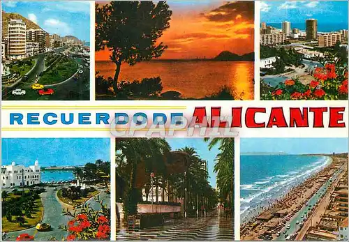 Cartes postales moderne Alicante  diversos aspectos