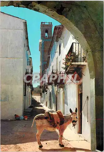 Moderne Karte Altea (alicante) tipique grande rue