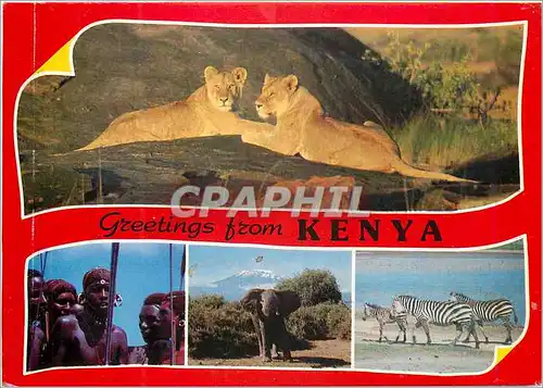 Moderne Karte Popular Kenya scenes Kenya Lion Zebre Zebra