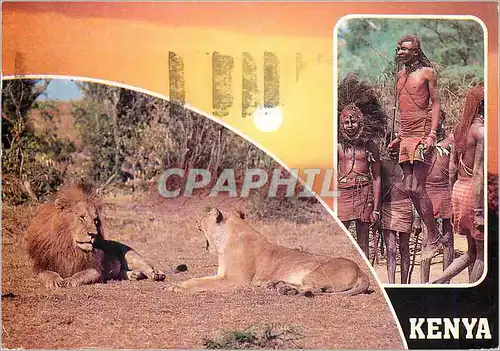 Cartes postales moderne Popular kenya scenes Lion