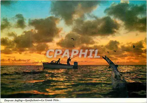 Cartes postales moderne Deep Angling sportfischerei la grande peche