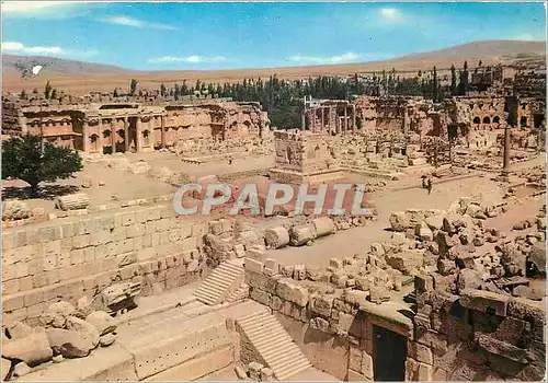 Moderne Karte Lebanon Baalbeck la cour des ruines