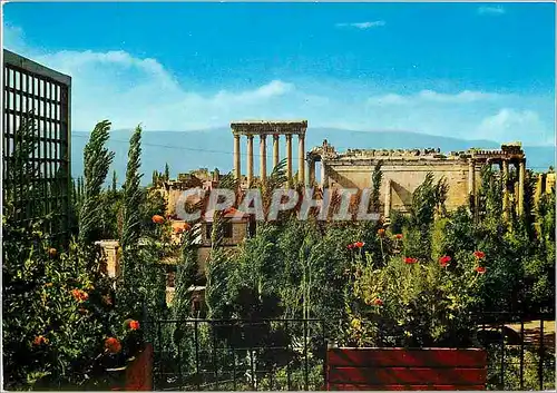 Moderne Karte Lebanon Baalbeck vue generale