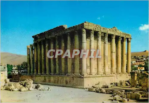 Cartes postales moderne Lebanon Baalbeck temple du bacchus