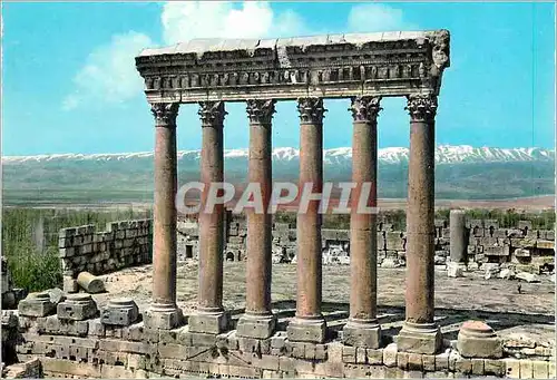 Moderne Karte Baalbeck les six colonnes du temple de jupiter