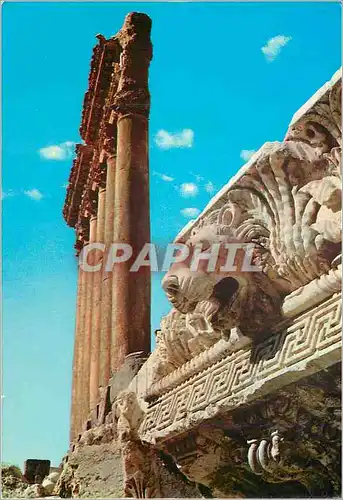 Cartes postales moderne Lebanon Baalbeck les six colonnes du temple de jupiter et les detail