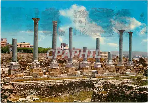 Cartes postales moderne Lebanon tyr (Sour) les colonnes romaines